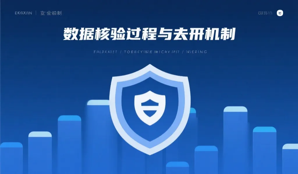 数据校验与公开机制示意图